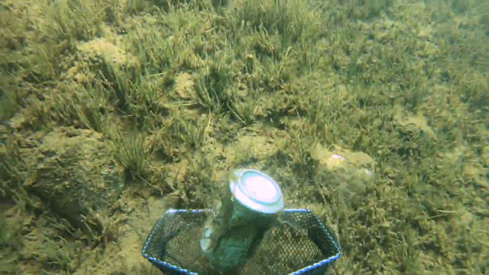 fifish-v6-underwater-drone-net-attachment.jpg
