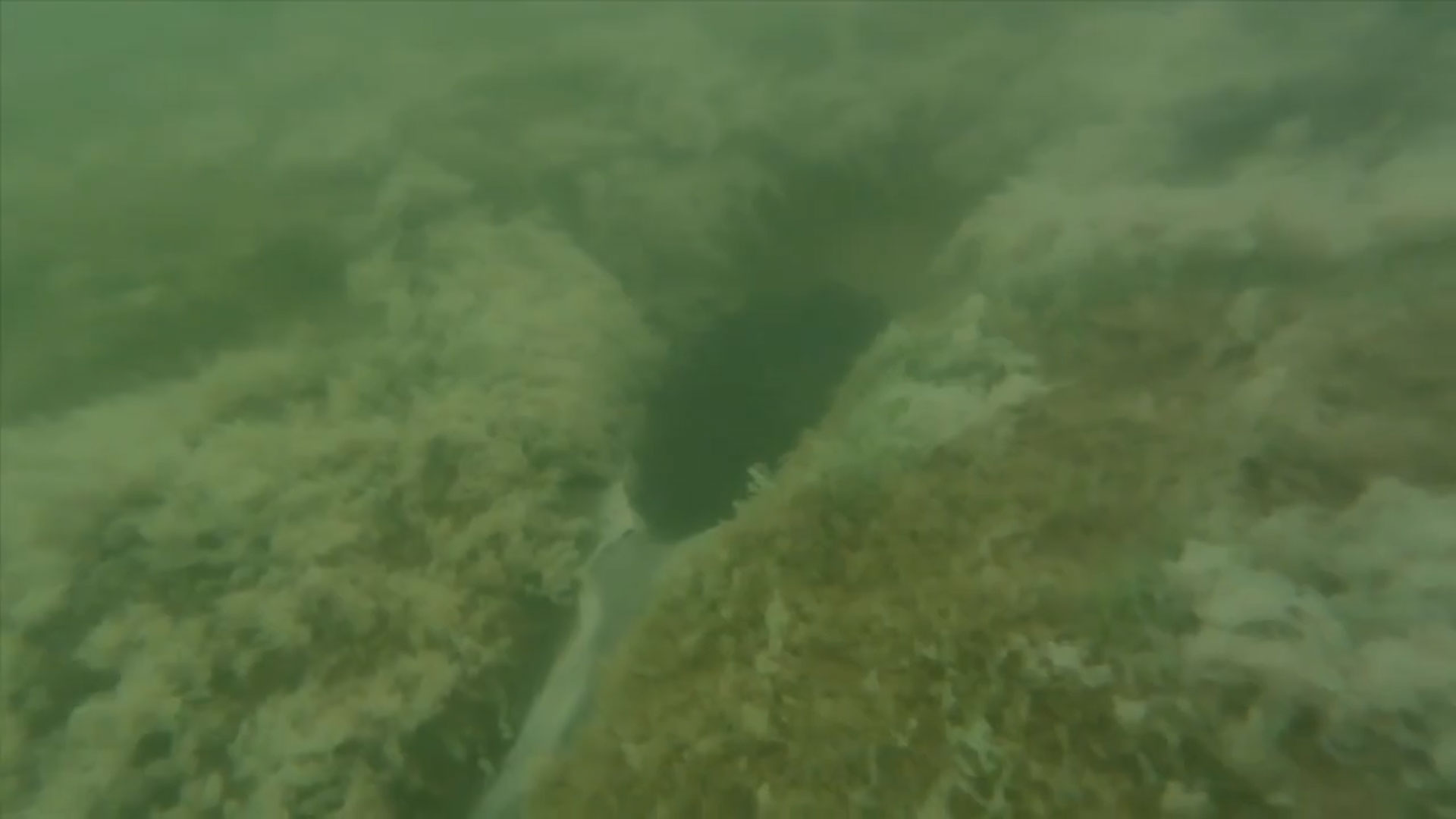 great-slave-lake-oil-seep-underwater-drone.jpg