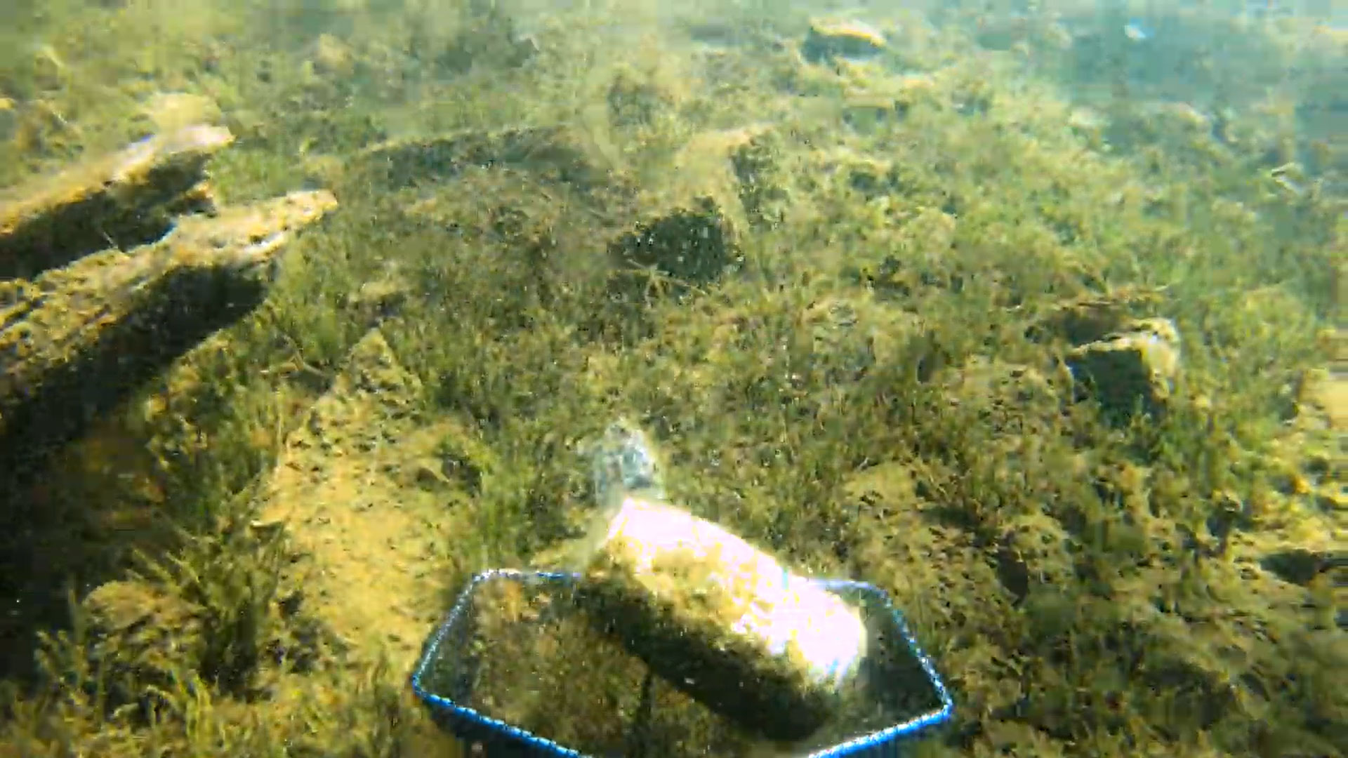 underwater-drone-pickup-aluminum-can-net-attachment.jpg