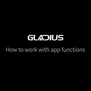 Gladius | How to work with app functions