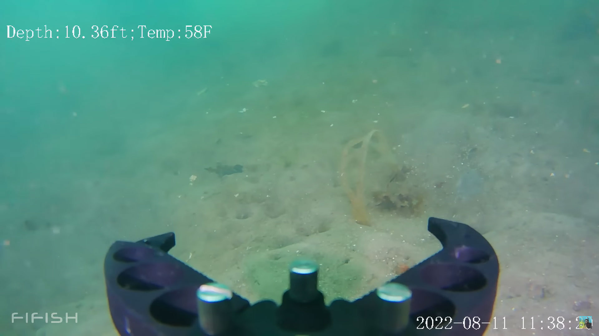 fifish-v6-expert-goggles-claw.jpg