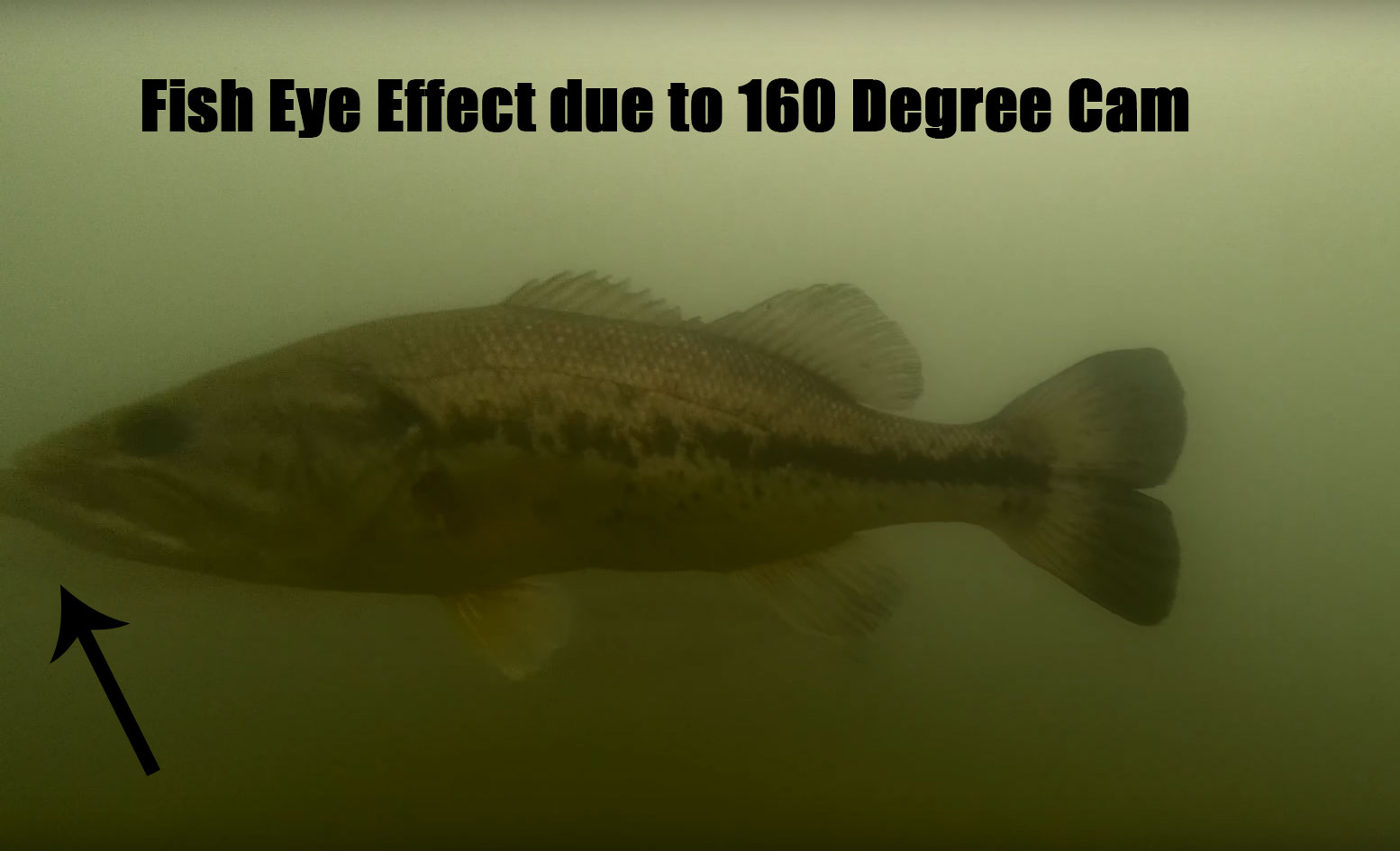 geneinno-underwater-drone-fish-eye-distortion.jpg