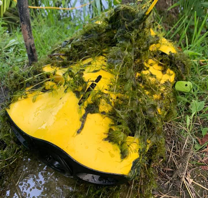 gladius-mini-local-mod-weeds-algae.jpg