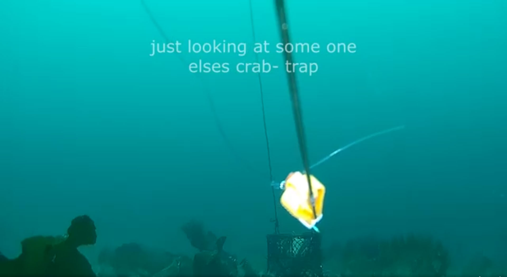 gladius-mini-underwater-drone-crab-trap.jpg