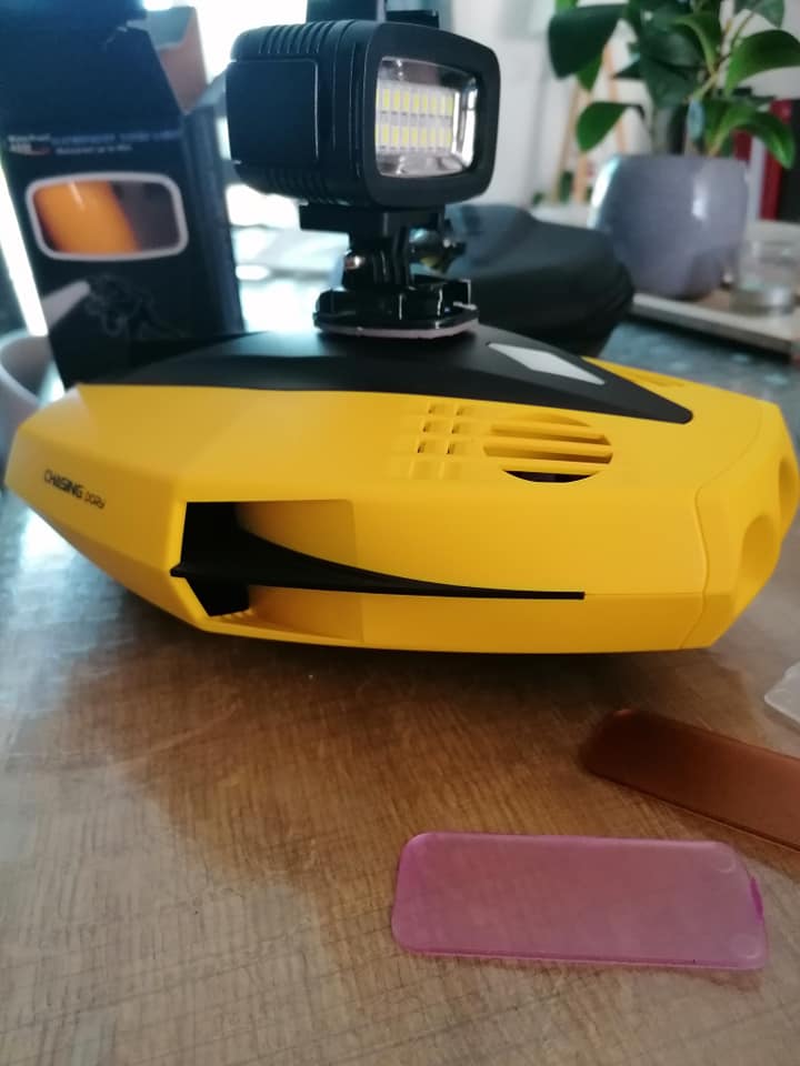 light-attachment-chasing-dory.jpg