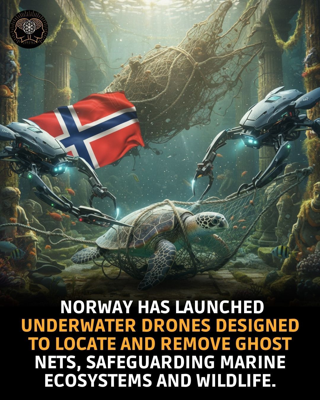 norway-underwater-drones-safeguarding-marine-wildlife.jpg