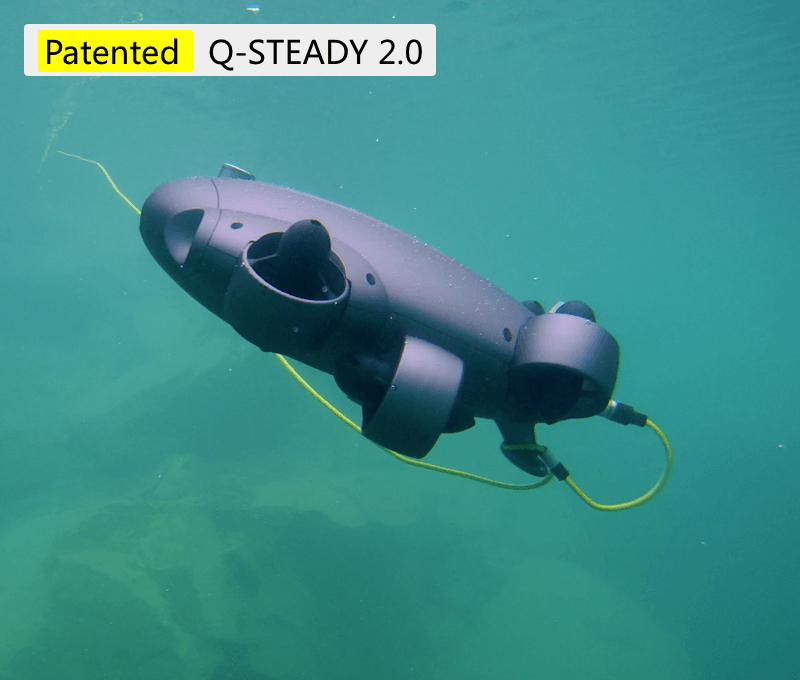 q-steady-stabilization-fifish-v6-expert.jpg