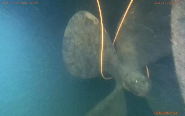 underwater-drone-tether-wrapped-around-propeller.jpg