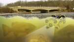 smallmouth-bass-crayfish-underwater-drone-chasing-m2.jpg