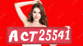 ACT425541.png