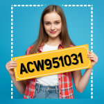 ACW951031.png