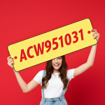 ACW951031.png