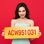 ACW951031.png