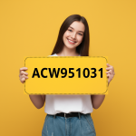 ACW951031.png